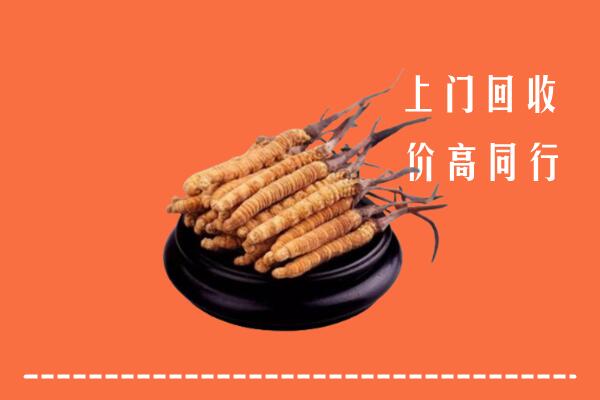 高价求购：天山区回收散虫草