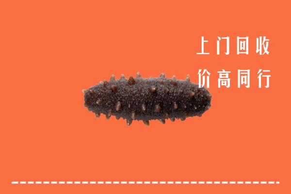 高价求购：天山区回收海参