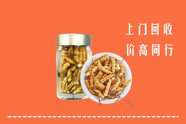 天山区回收冬虫夏草